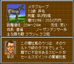 スーパーファミコンソフト ウイニングポスト2・名作スーファミを