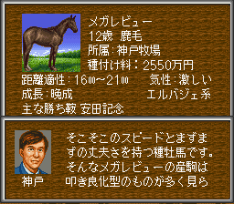 SFC版ウイニングポスト2攻略②（中央GⅠ全制覇）: 初代