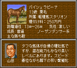 マッキントッシュ　ウイニングポスト２ SFC版ウイニングポスト2攻略④(2005年～2010年）: 初代
